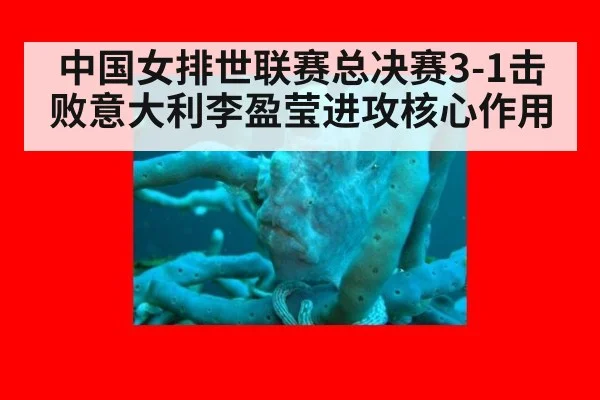中国女排世联赛总决赛3-1击败意大利李盈莹进攻核心作用